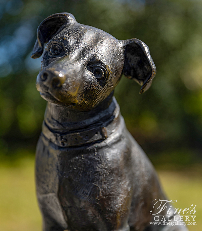 Bronze Statues  - Toy Fox Terrier Bronze Statue - BS-149